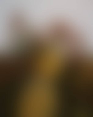 Abstract blur background of colors mixed 