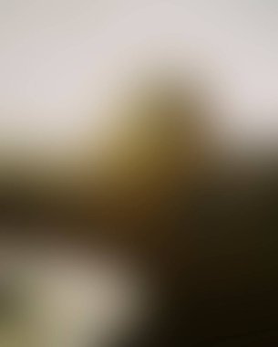 Abstract blur background of colors mixed 