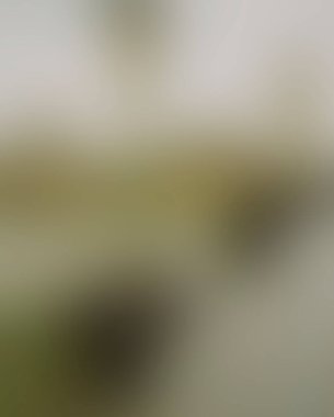 Abstract blur background of colors mixed 