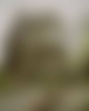 Abstract blur background of colors mixed 