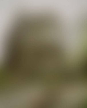 Abstract blur background of colors mixed 