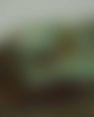 Abstract blur background of colors mixed 