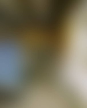 Abstract blur background of colors mixed 