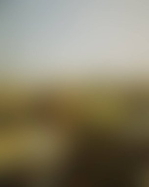 Abstract blur background of colors mixed 