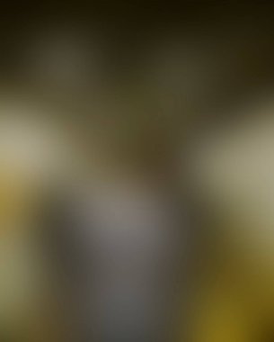 Abstract blur background of colors mixed 