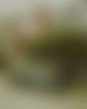 Abstract blur background of colors mixed 