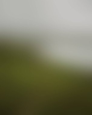 Abstract blur background of colors mixed 