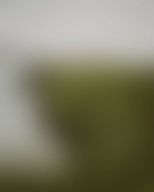 Abstract blur background of colors mixed 