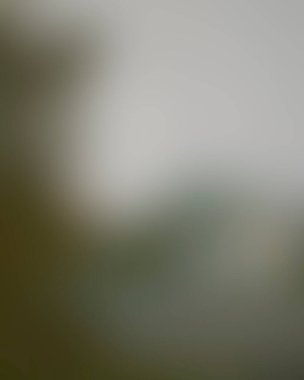 Abstract blur background of colors mixed 