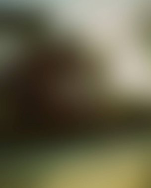 Abstract blur background of colors mixed 