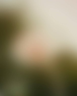 Abstract blur background of colors mixed 