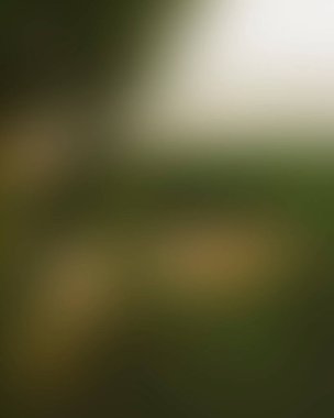 Abstract blur background of colors mixed 