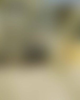 Abstract blur background of colors mixed 