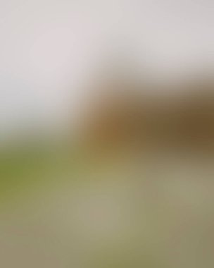 Abstract blur background of colors mixed 