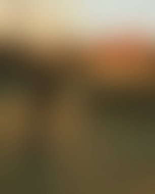 Abstract blur background of colors mixed 