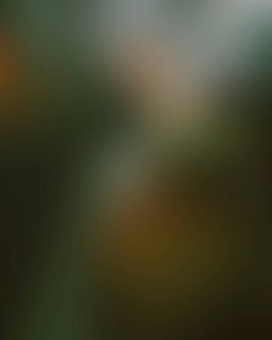 Abstract blur background of colors mixed 