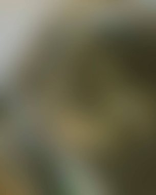 Abstract blur background of colors mixed 