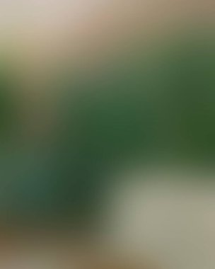 Abstract blur background of colors mixed 