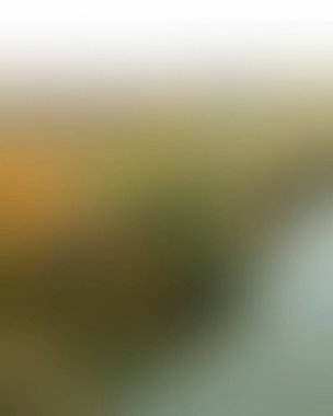 Abstract blur background of colors mixed 