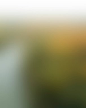 Abstract blur background of colors mixed 