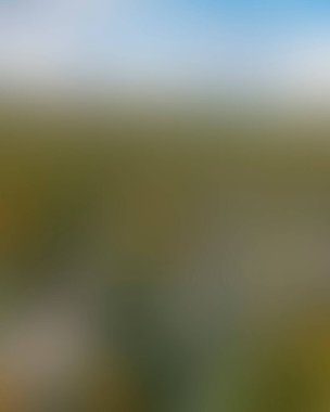 Abstract blur background of colors mixed 