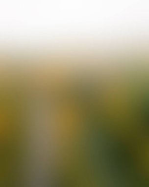 Abstract blur background of colors mixed 