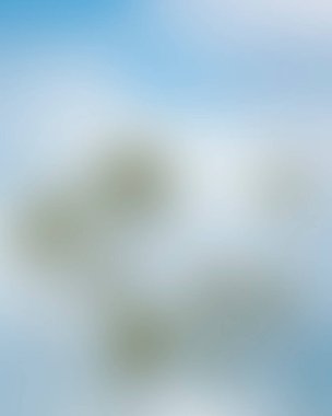 Abstract blur background of colors mixed 