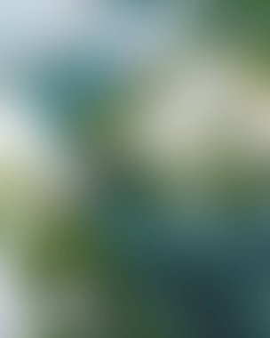 Abstract blur background of colors mixed 