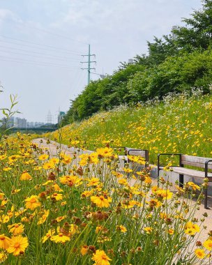 Parkın güzel manzarası