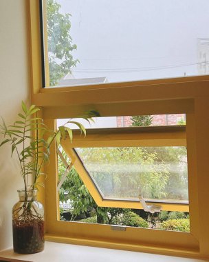 Beyaz ve sarı çiçekli modern bir pencere.