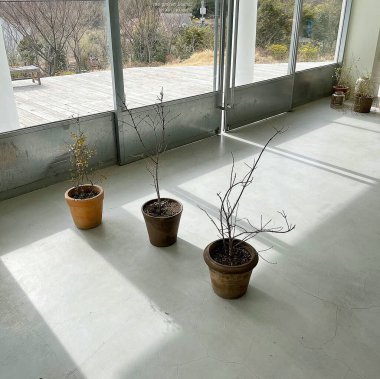 Beyaz duvarlı küçük tahta bir masa.