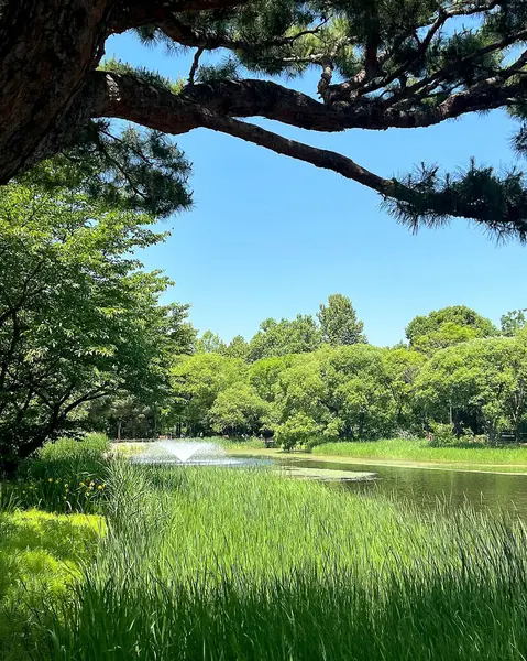 Parkın güzel manzarası