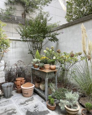 Çağdaş evin bahçeleri,