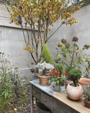 Güzel botanik fotoğrafı, doğal duvar kağıdı.