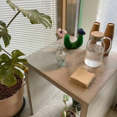 Güzel botanik fotoğrafı, doğal duvar kağıdı.