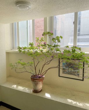 Modern bir otelin içinde.