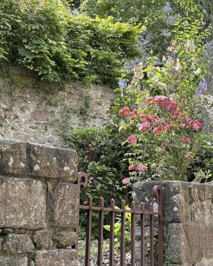 Taş duvarın arkasında güzel çiçekler var.