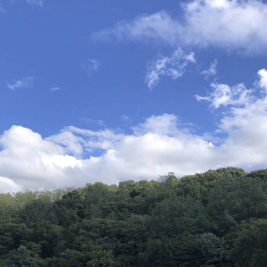 Ağacı ve mavi gökyüzü olan güzel bir manzara.