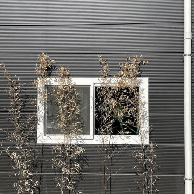 Modern bir evin penceresi