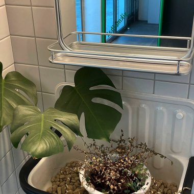 Modern banyonun içi.