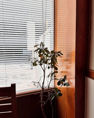 Modern bir otelin içinde.