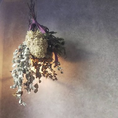 Bahçedeki güzel çiçekler