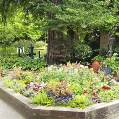 Çiçekleri ve bitkileri olan güzel bir bahçe.