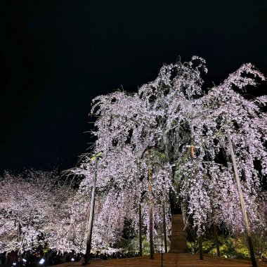 Parkın güzel manzarası