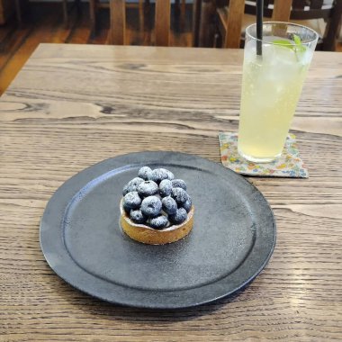 yabanmersinli ve dondurmalı yaban mersinli kek.