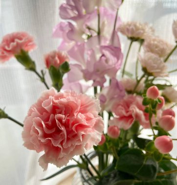 Yakın - güzel pembe çiçeklerin manzarası