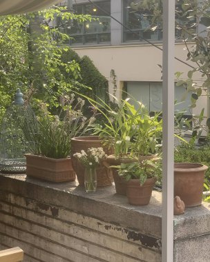 Şehrin güzel manzarası