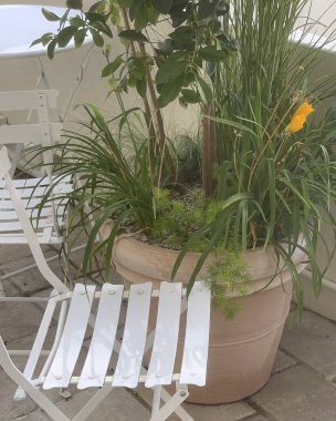 Tahta bir masanın üzerinde beyaz ve kahverengi saksı bitkilerinin yakın plan çekimi.