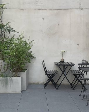 Sandalyesi ve kahve bitkisi olan boş ahşap masa.