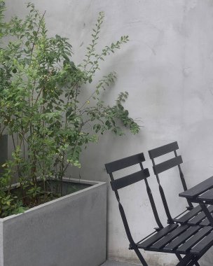 Parkta yeşil bitki ve bank